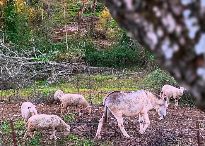 Casa Rural Orilla del Hueznar Cazalla de la Sierra